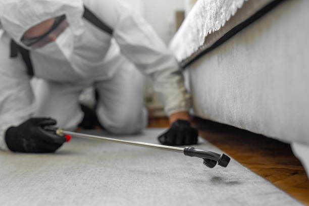 Professional Cockroach Control technician working in Cavalero, WA